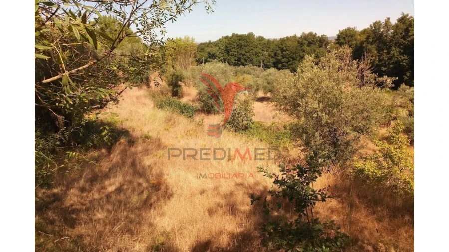 Terreno para Venda em Vila Cortes da Serra Foto 16