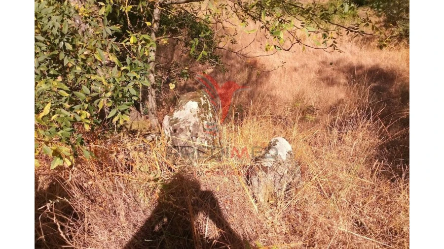 Terreno para Venda em Vila Cortes da Serra Foto 15