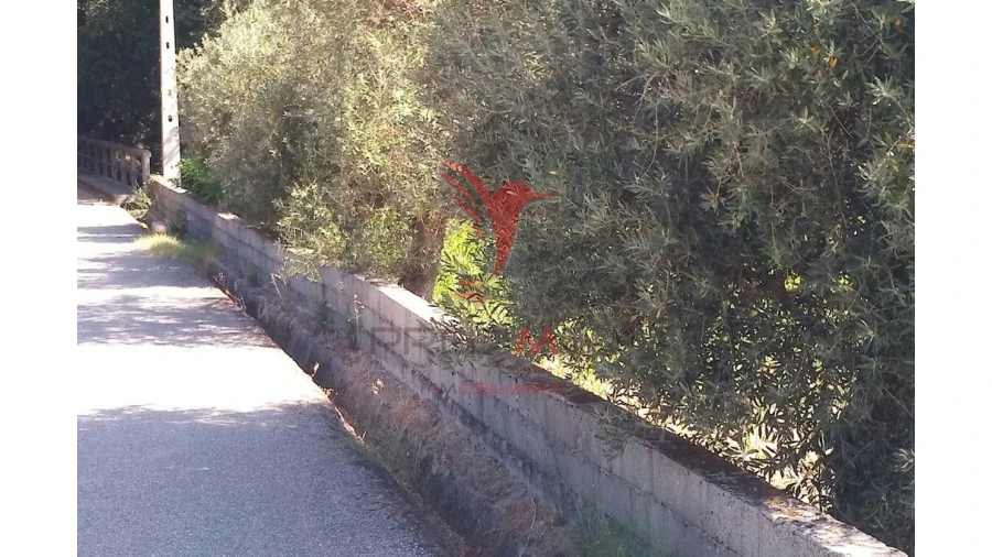 Terreno para Venda em Vila Cortes da Serra Foto 20