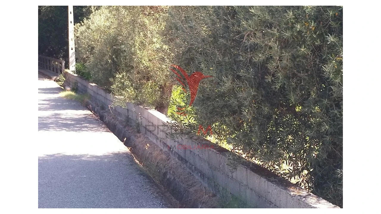 Terreno para Venda em Vila Cortes da Serra Foto 20