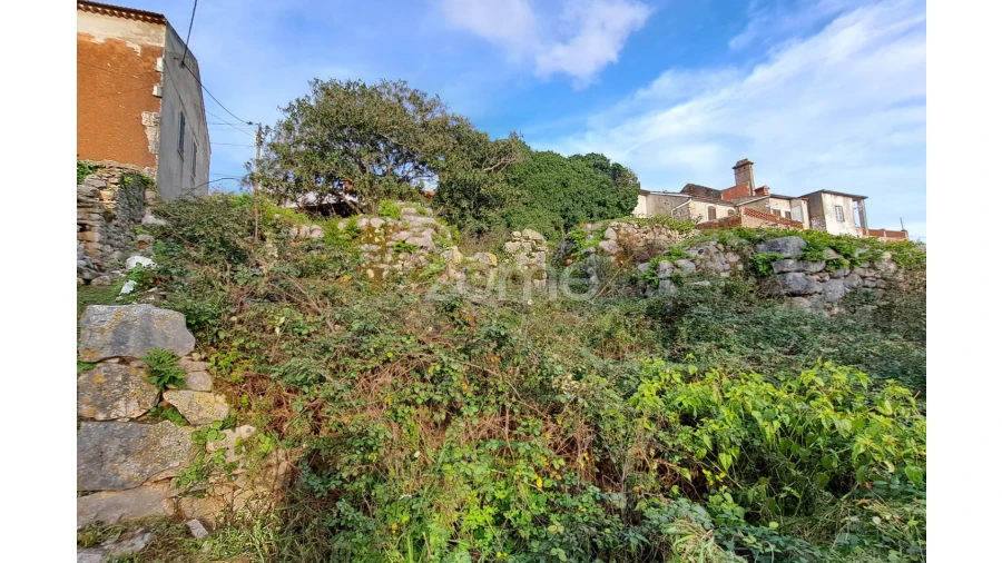 Terreno para Venda em Mira de Aire Foto 8