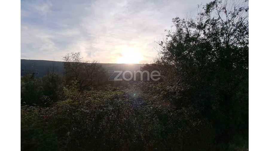 Terreno para Venda em Mira de Aire Foto 1