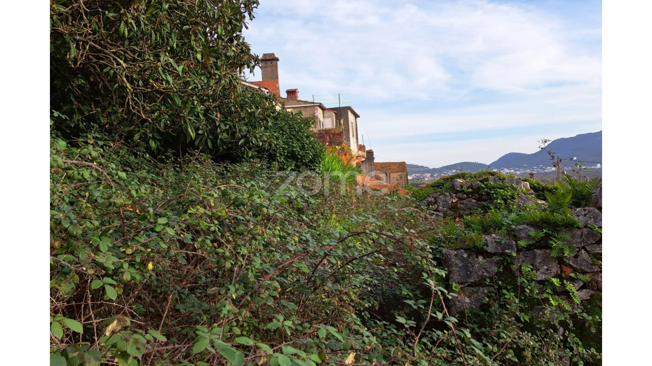 Terreno para Venda em Mira de Aire Foto 7