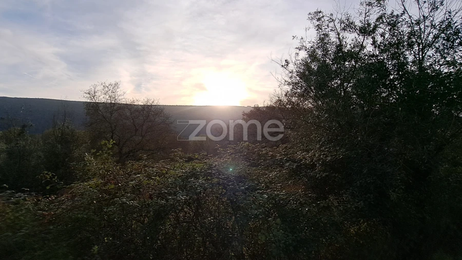 Terreno para Venda em Mira de Aire