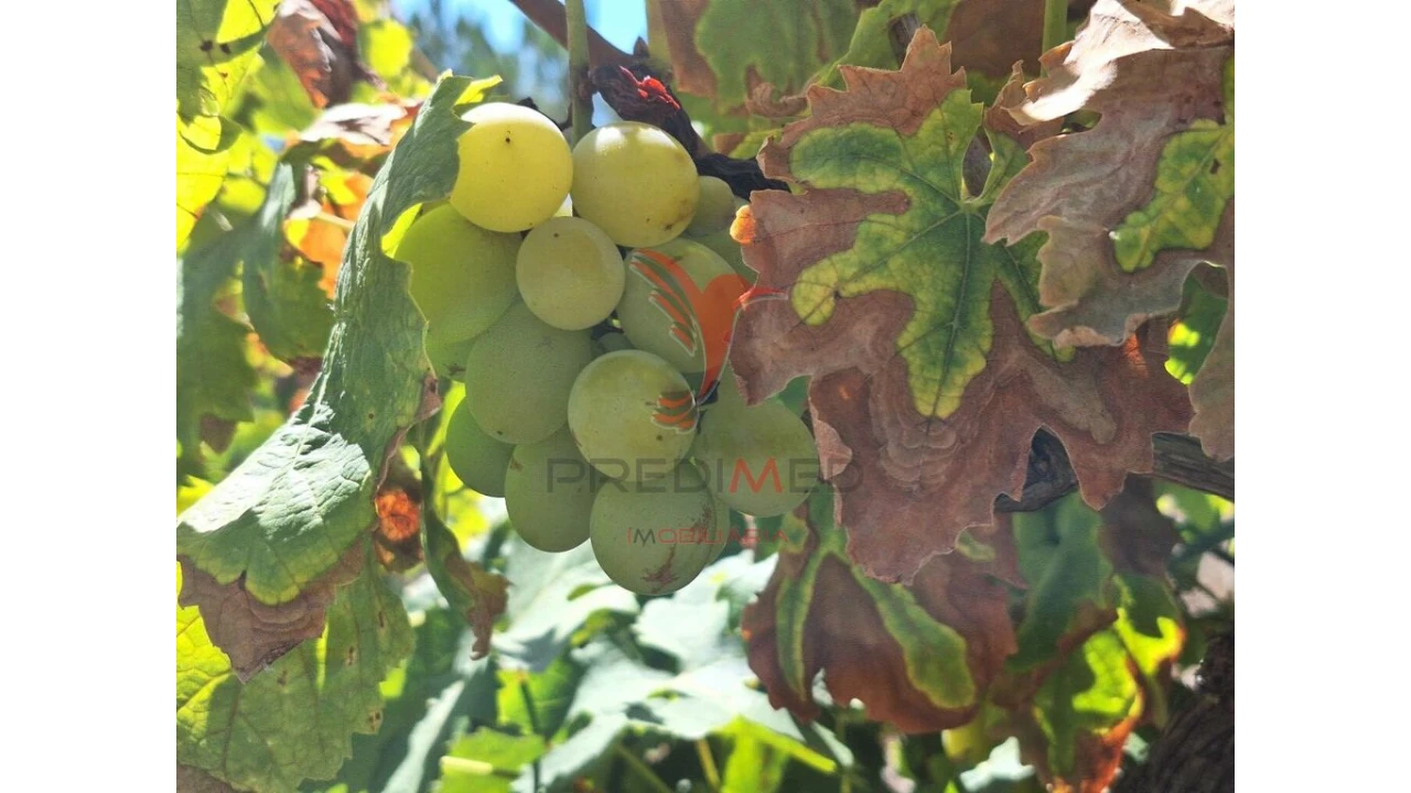 Terreno para Venda em Vale de Santarem Foto 10