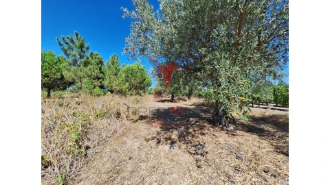 Terreno para Venda em Vale de Santarem
