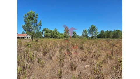 Terreno para Venda em Vale de Santarem