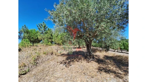 Terreno para Venda em Vale de Santarem