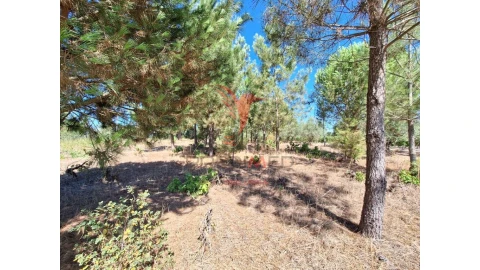 Terreno para Venda em Vale de Santarem