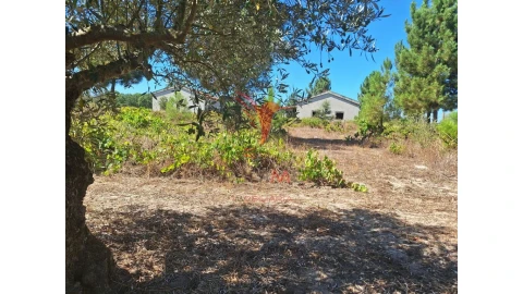 Terreno para Venda em Vale de Santarem