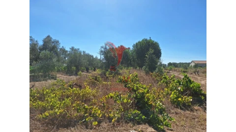 Terreno para Venda em Vale de Santarem