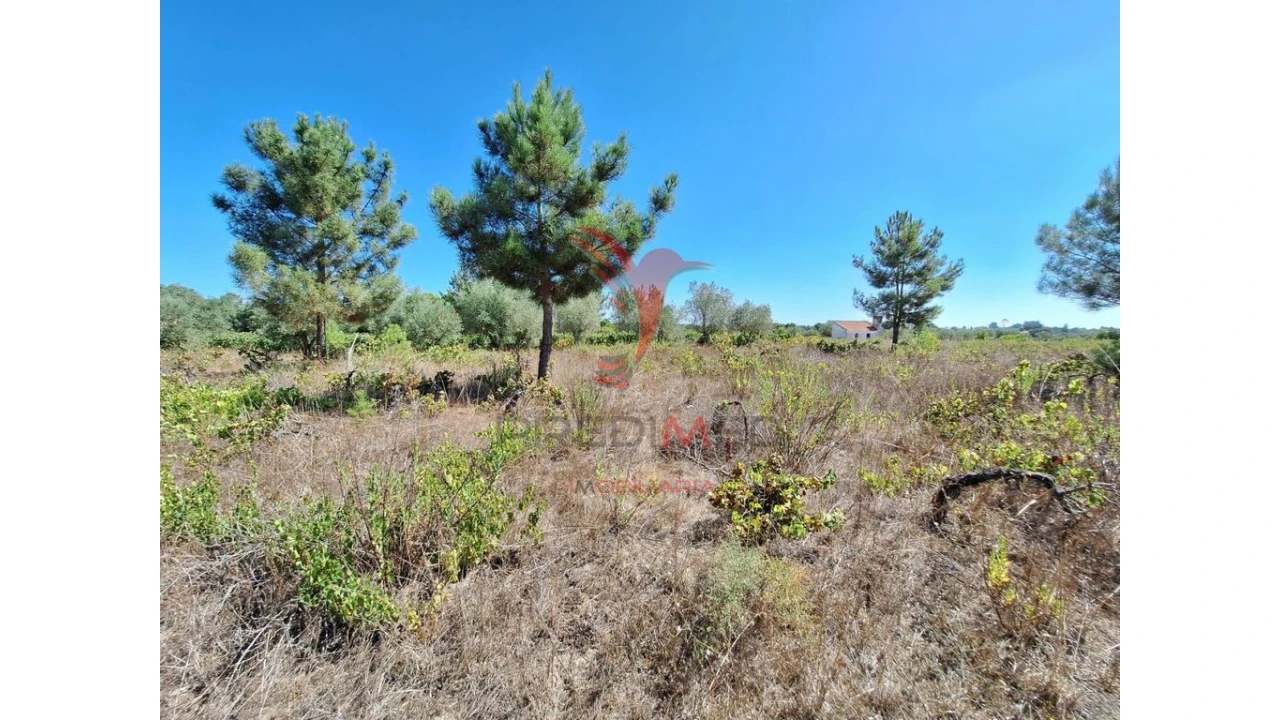 Terreno para Venda em Vale de Santarem Foto 2
