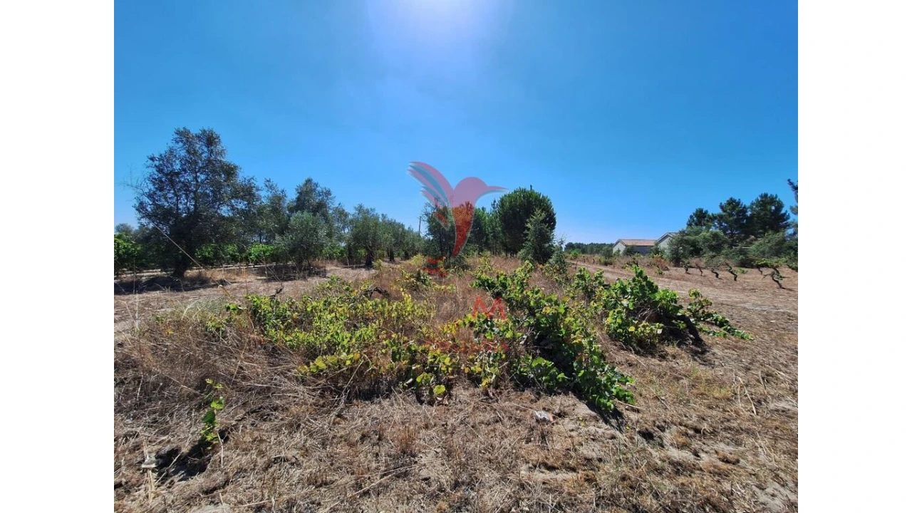 Terreno para Venda em Vale de Santarem Foto 4