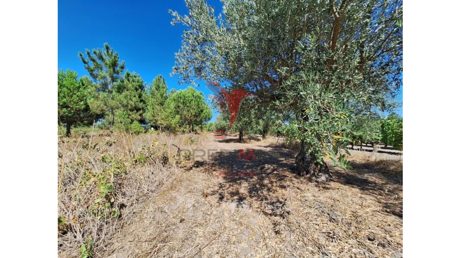 Terreno para Venda em Vale de Santarem Foto 12