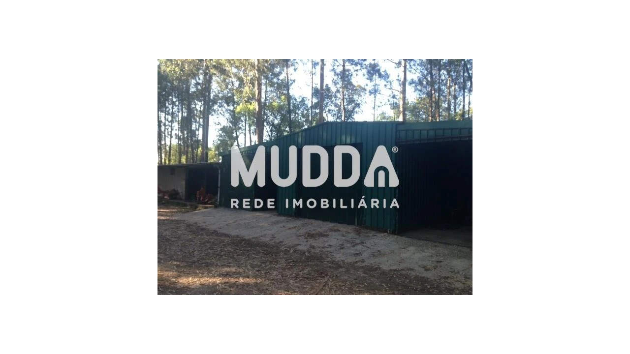 Quinta T8 para Venda em O. Azeméis, Riba-Ul, Ul, Macinhata Seixa, Madail Foto 84