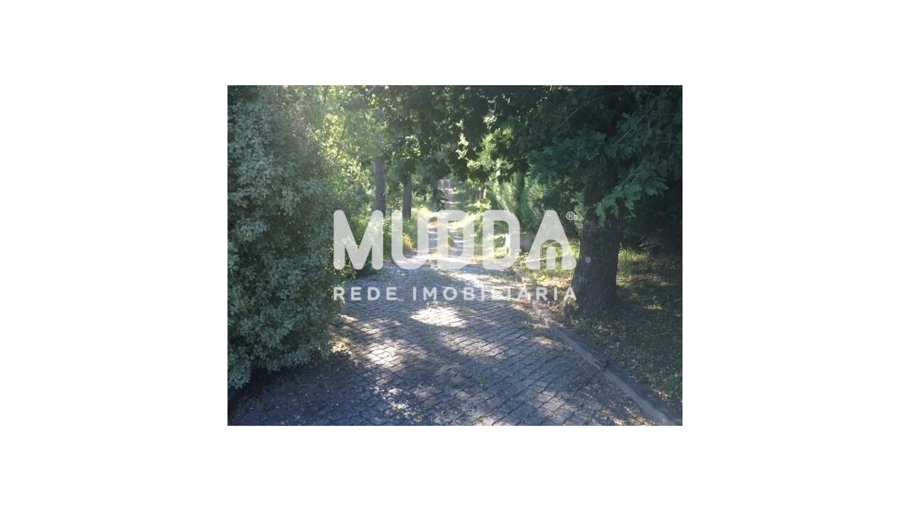 Quinta T8 para Venda em O. Azeméis, Riba-Ul, Ul, Macinhata Seixa, Madail Foto 30