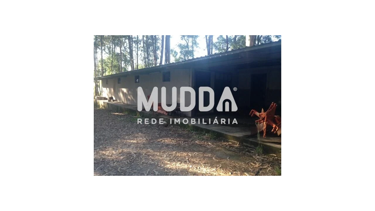 Quinta T8 para Venda em O. Azeméis, Riba-Ul, Ul, Macinhata Seixa, Madail Foto 85