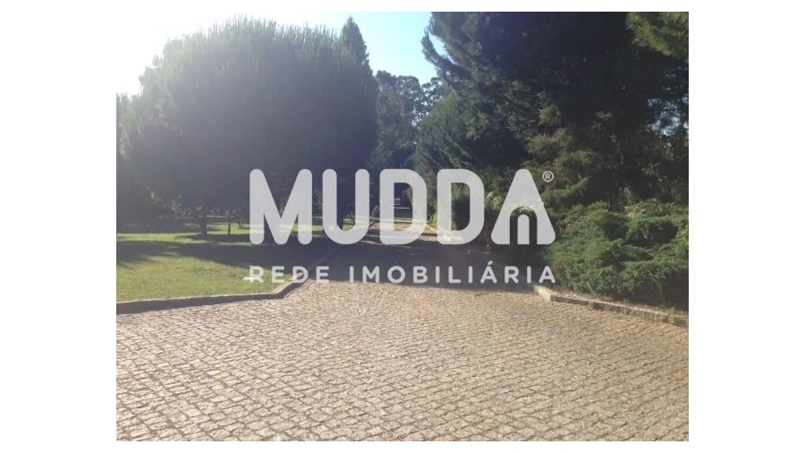 Quinta T8 para Venda em O. Azeméis, Riba-Ul, Ul, Macinhata Seixa, Madail Foto 33