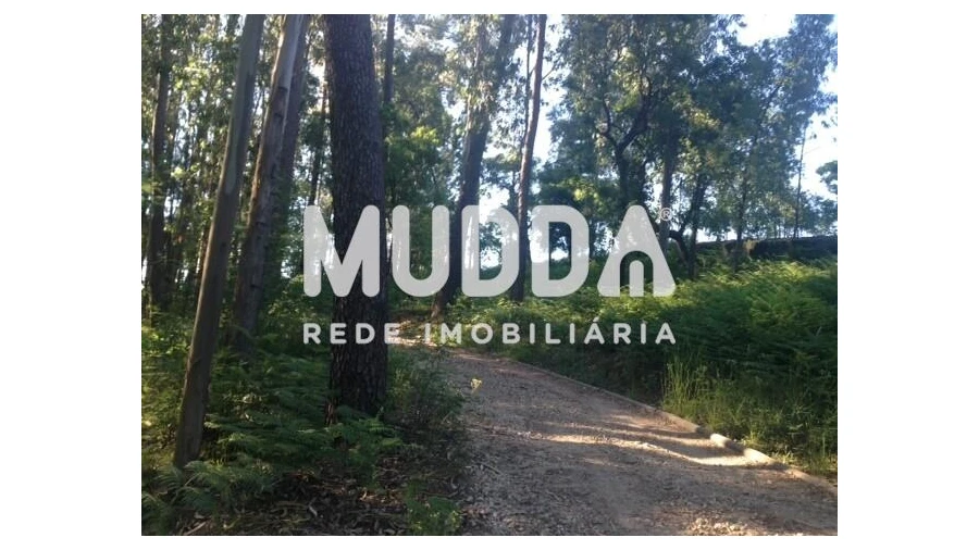 Quinta T8 para Venda em O. Azeméis, Riba-Ul, Ul, Macinhata Seixa, Madail Foto 83