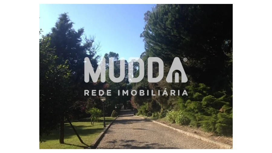 Quinta T8 para Venda em O. Azeméis, Riba-Ul, Ul, Macinhata Seixa, Madail Foto 35