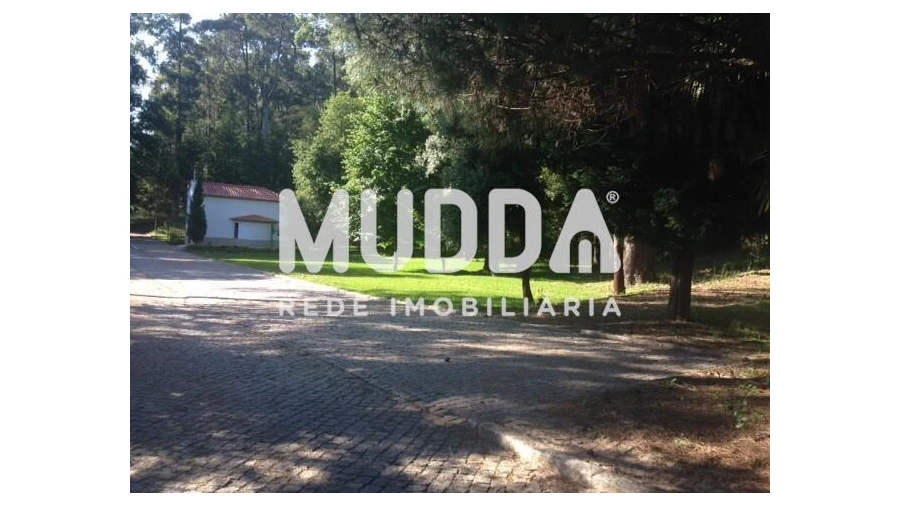 Quinta T8 para Venda em O. Azeméis, Riba-Ul, Ul, Macinhata Seixa, Madail Foto 36