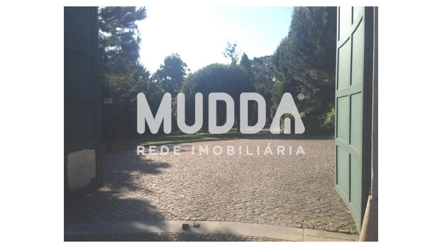 Quinta T8 para Venda em O. Azeméis, Riba-Ul, Ul, Macinhata Seixa, Madail Foto 10