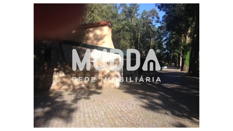 Quinta T8 para Venda em O. Azeméis, Riba-Ul, Ul, Macinhata Seixa, Madail Foto 55