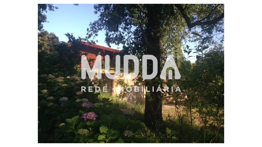 Quinta T8 para Venda em O. Azeméis, Riba-Ul, Ul, Macinhata Seixa, Madail Foto 28