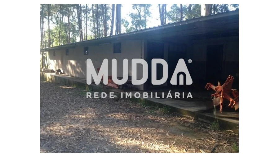 Quinta T8 para Venda em O. Azeméis, Riba-Ul, Ul, Macinhata Seixa, Madail Foto 85