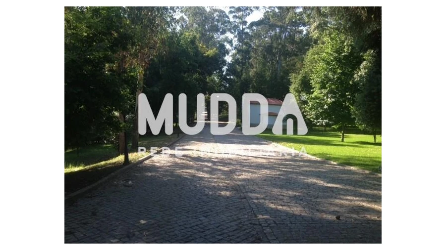 Quinta T8 para Venda em O. Azeméis, Riba-Ul, Ul, Macinhata Seixa, Madail Foto 45