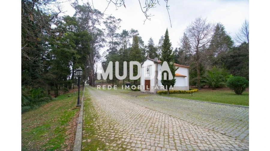 Quinta T8 para Venda em O. Azeméis, Riba-Ul, Ul, Macinhata Seixa, Madail Foto 106