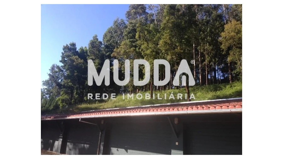 Quinta T8 para Venda em O. Azeméis, Riba-Ul, Ul, Macinhata Seixa, Madail Foto 49