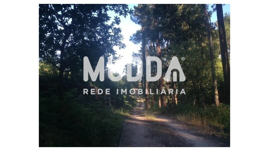 Quinta T8 para Venda em O. Azeméis, Riba-Ul, Ul, Macinhata Seixa, Madail Foto 82