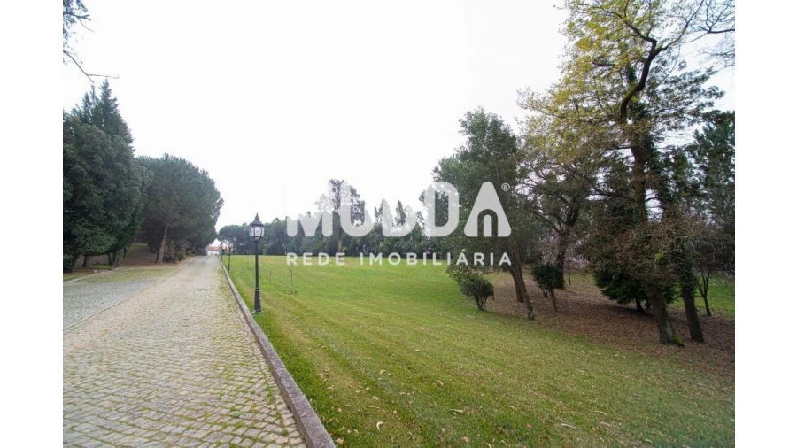 Quinta T8 para Venda em O. Azeméis, Riba-Ul, Ul, Macinhata Seixa, Madail Foto 107