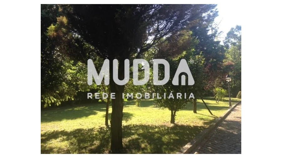 Quinta T8 para Venda em O. Azeméis, Riba-Ul, Ul, Macinhata Seixa, Madail Foto 34