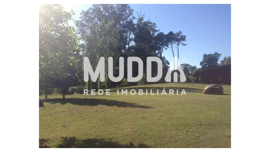 Quinta T8 para Venda em O. Azeméis, Riba-Ul, Ul, Macinhata Seixa, Madail Foto 13