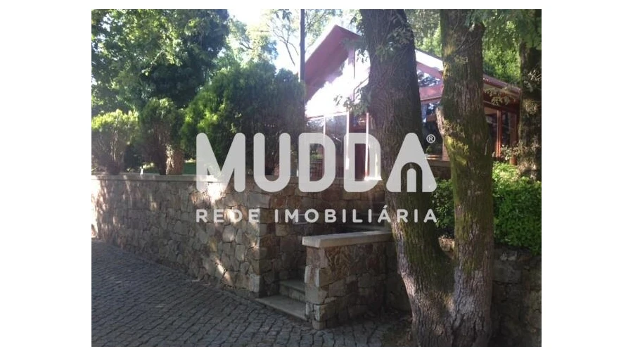 Quinta T8 para Venda em O. Azeméis, Riba-Ul, Ul, Macinhata Seixa, Madail Foto 56