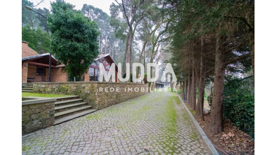 Quinta T8 para Venda em O. Azeméis, Riba-Ul, Ul, Macinhata Seixa, Madail Foto 127