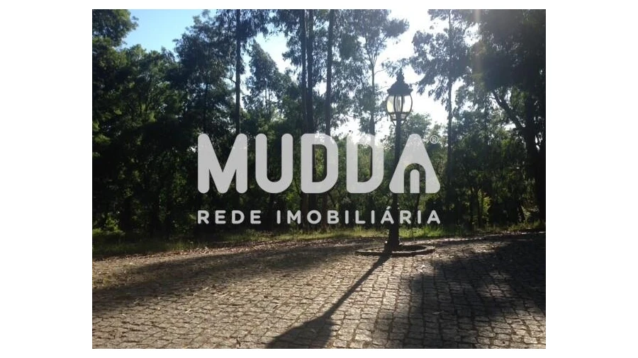 Quinta T8 para Venda em O. Azeméis, Riba-Ul, Ul, Macinhata Seixa, Madail Foto 46