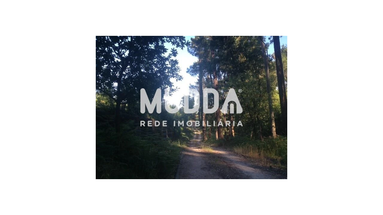 Quinta T8 para Venda em O. Azeméis, Riba-Ul, Ul, Macinhata Seixa, Madail Foto 82