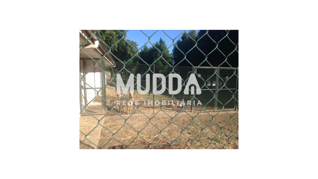 Quinta T8 para Venda em O. Azeméis, Riba-Ul, Ul, Macinhata Seixa, Madail Foto 81