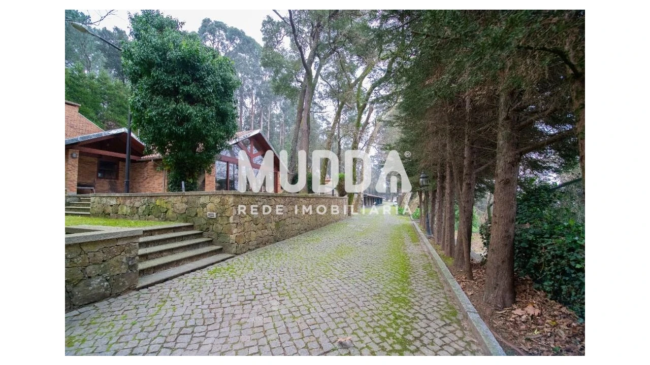 Quinta T8 para Venda em O. Azeméis, Riba-Ul, Ul, Macinhata Seixa, Madail Foto 127