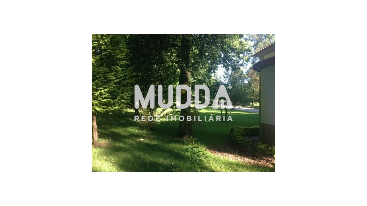 Quinta T8 para Venda em O. Azeméis, Riba-Ul, Ul, Macinhata Seixa, Madail Foto 39