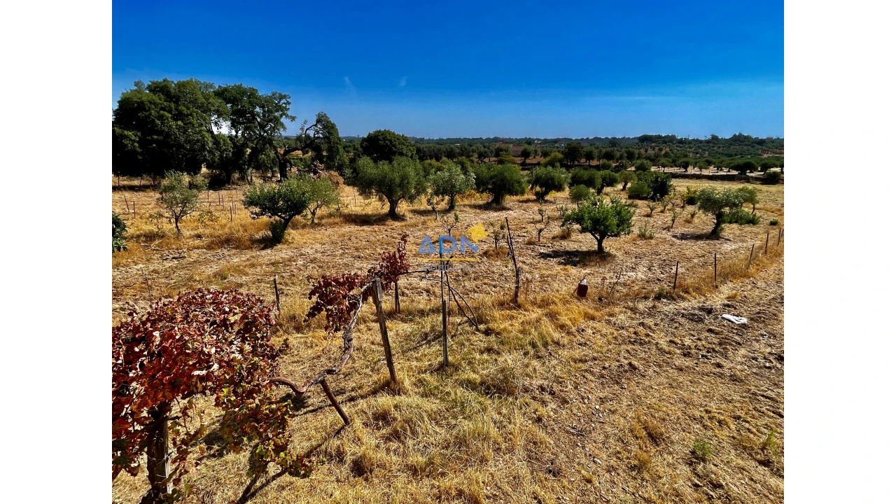 Quinta para Venda em Castelo Branco Foto 23