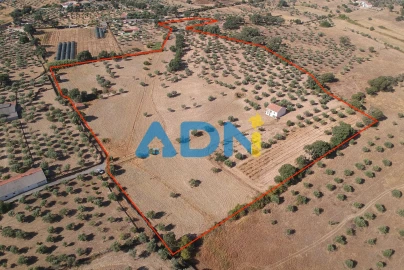 Quinta para Venda em Castelo Branco