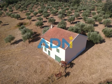 Quinta para Venda em Castelo Branco