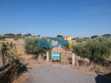 Quinta para Venda em Castelo Branco