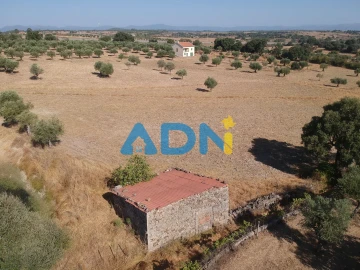 Quinta para Venda em Castelo Branco