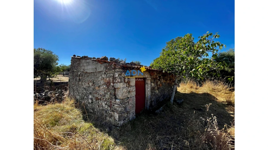 Quinta para Venda em Castelo Branco Foto 9