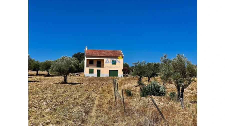 Quinta para Venda em Castelo Branco Foto 26